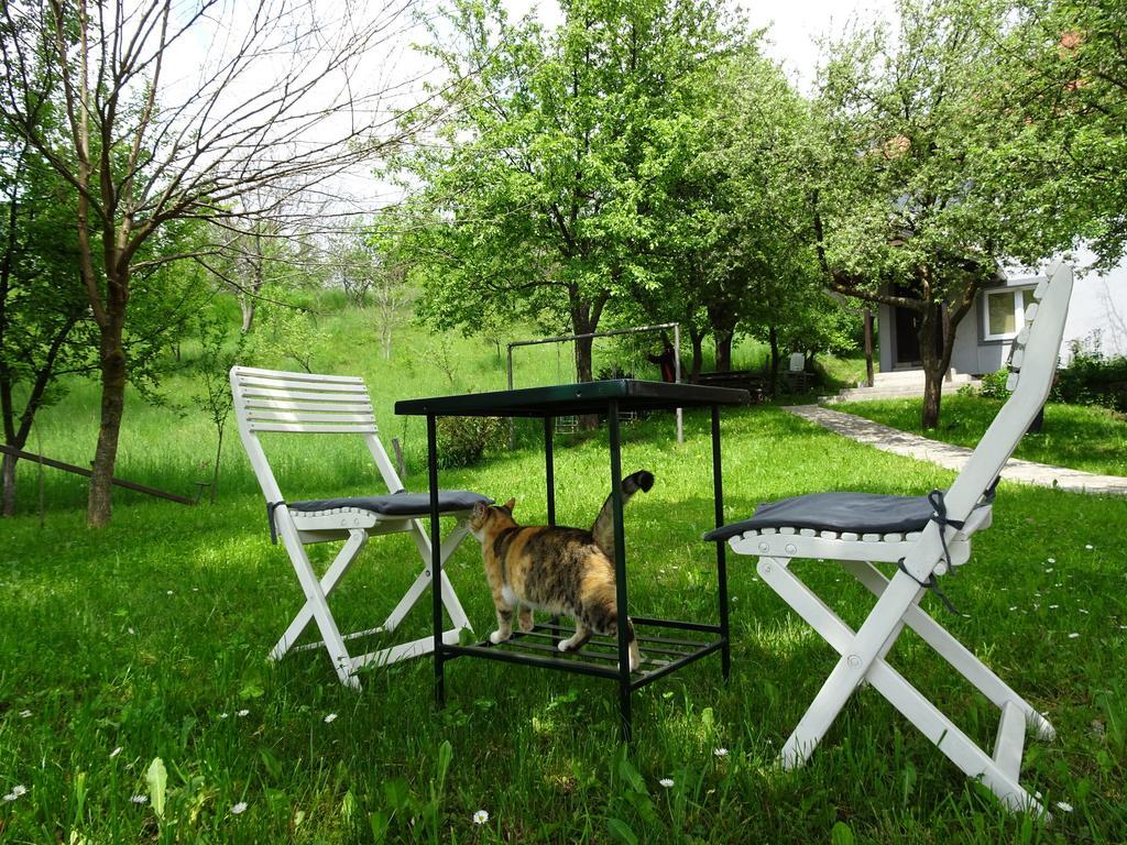 Guest Accommodation Bakic Kolasin Ngoại thất bức ảnh