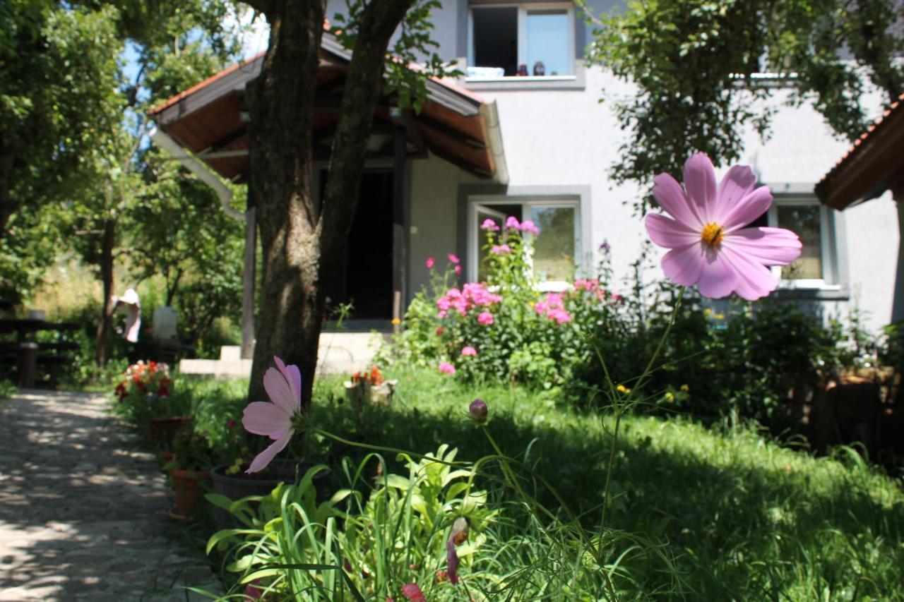 Guest Accommodation Bakic Kolasin Ngoại thất bức ảnh