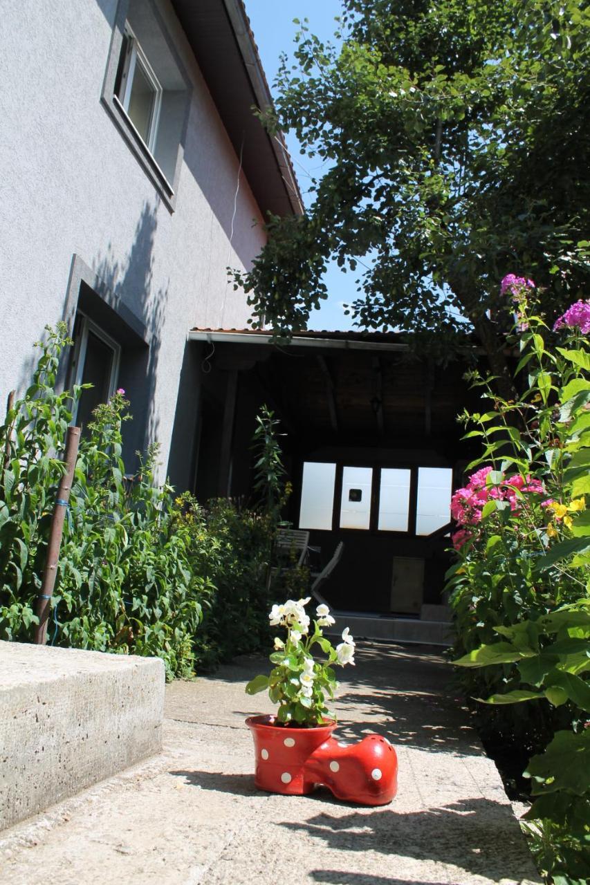 Guest Accommodation Bakic Kolasin Ngoại thất bức ảnh