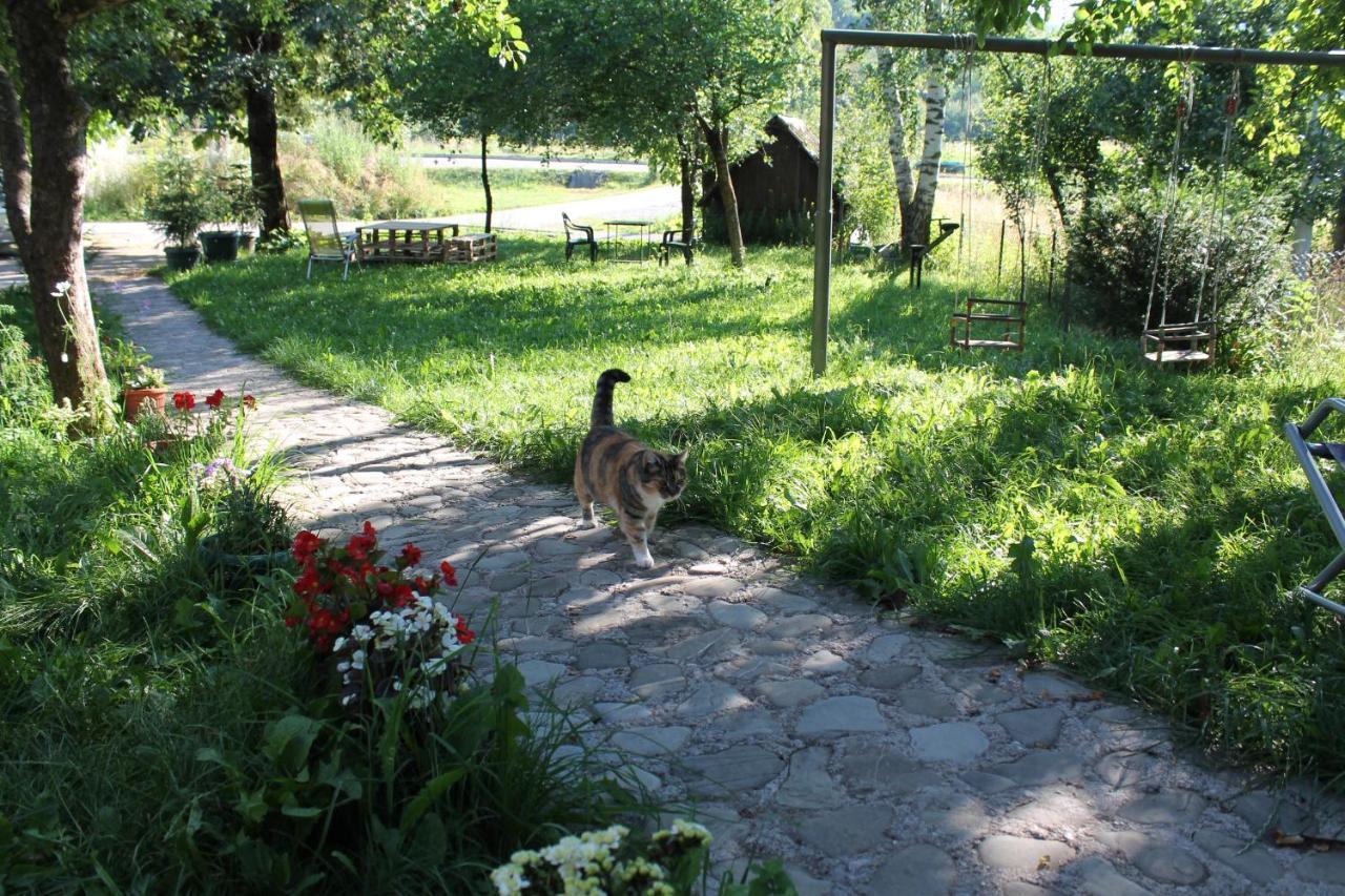 Guest Accommodation Bakic Kolasin Ngoại thất bức ảnh